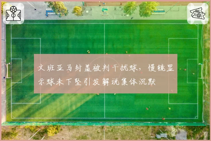 文班亚马封盖被判干扰球,慢镜显示球未下坠引发解说集体沉默