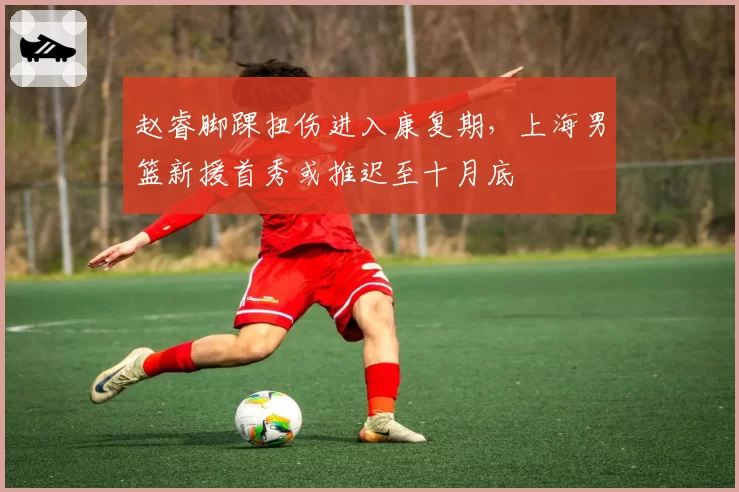 赵睿脚踝扭伤进入康复期，上海男篮新援首秀或推迟至十月底