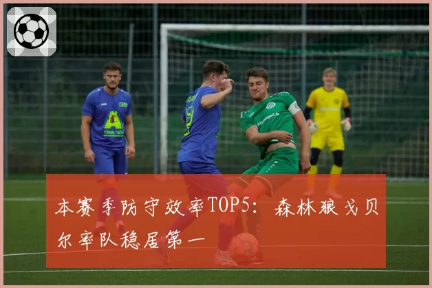 本赛季防守效率TOP5：森林狼戈贝尔率队稳居第一
