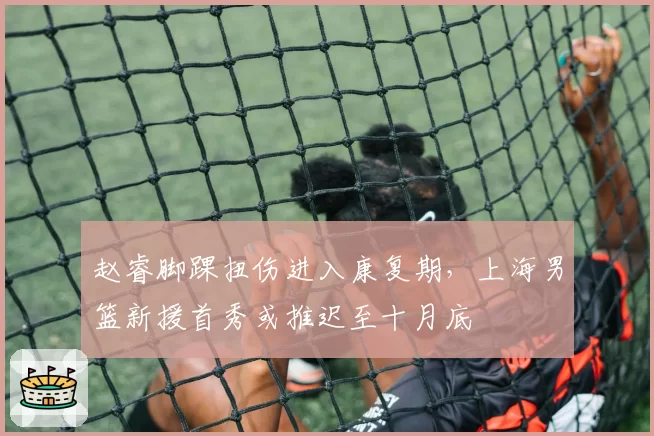 赵睿脚踝扭伤进入康复期，上海男篮新援首秀或推迟至十月底