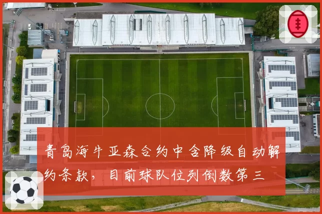 青岛海牛亚森合约中含降级自动解约条款,目前球队位列倒数第三